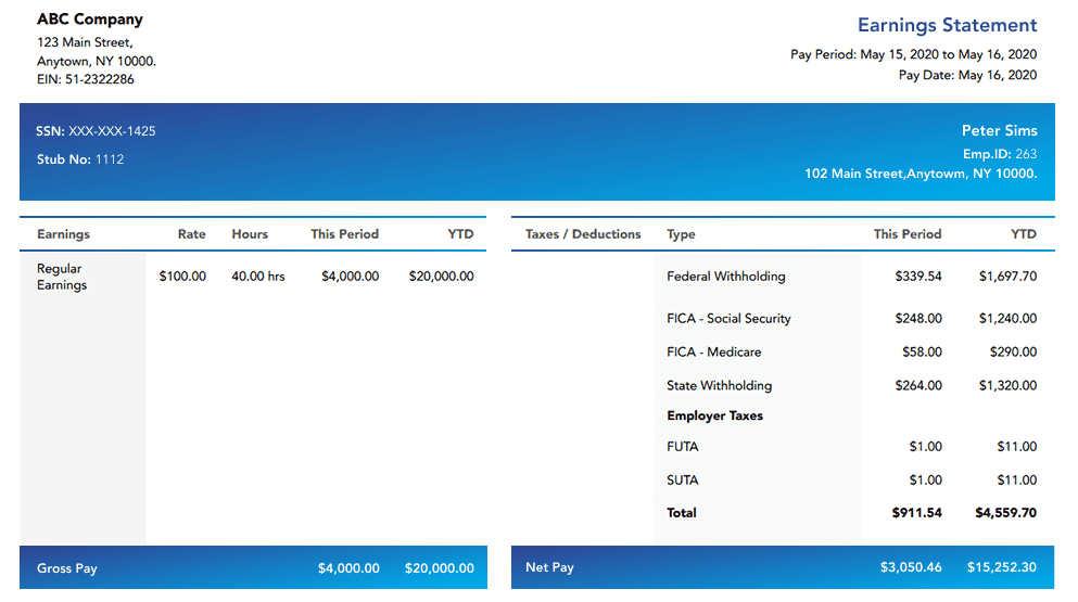 Aviation Template pay stub preview