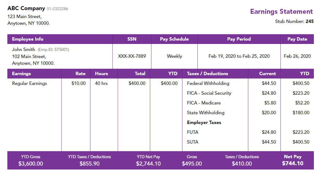 Violet contractor paystub template