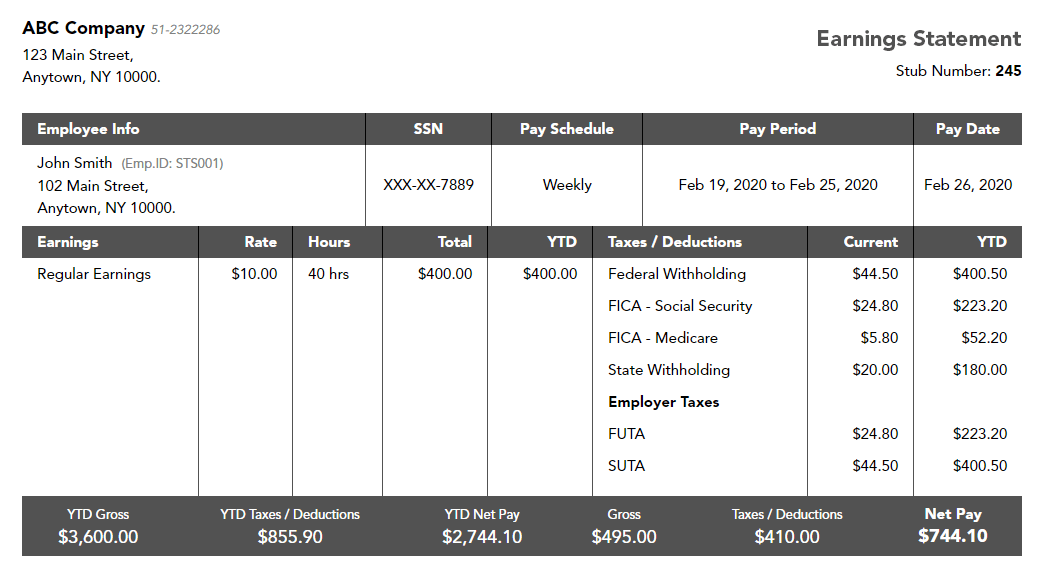 Pay Stub Template For Contractors