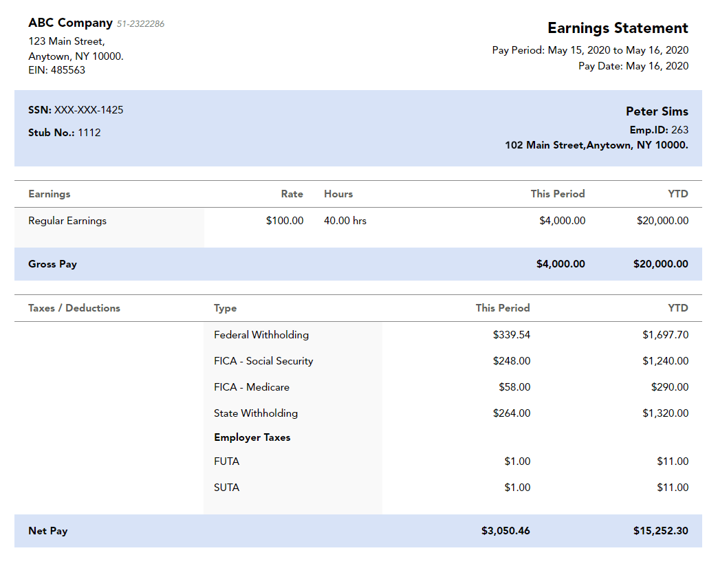 Free Falls Creek paystub template