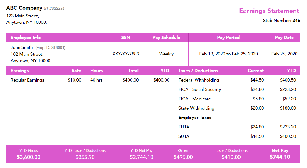 Free Pay Stub Templates Sample Paystubs Online 123paystubs