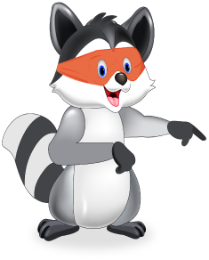 racoon
